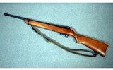 Ruger ~ 10/22 ~ .22LR - 2 of 14