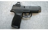 Sig Sauer ~ P365XL ~ 9 mm Luger - 1 of 2