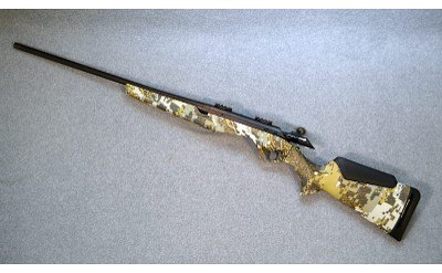 Benelli ~ LUPO ~ .300 Win Mag