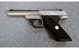 Colt's PTFA ~ Colt 22 ~ .22 LR - 2 of 2