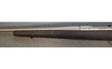 Remington ~ 700 ~ .25-06 - 7 of 8
