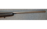 Remington ~ 700 ~ .25-06 - 5 of 8