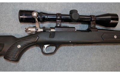 Ruger ~ 77/17 ~ .17 HMR - Image 9 of 14