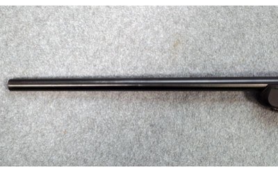 Ruger ~ 77/17 ~ .17 HMR - Image 3 of 14