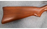 Ruger ~ 10/22 ~ .22LR - 8 of 12