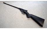 Henry ~ HOO2B ~ .22 LR - Image 2 of 12