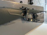 Blaser R8 professional success with 3x9 Trijicon scope - 14 of 14
