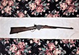 Spencer model 1865 carbine - 1 of 12