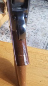 Winchester Model 12 Heavy Duck(1954) - 12 of 12