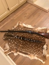 Parker Brothers VHE 12 gauge- 1 of 15