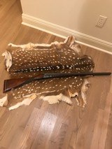 Parker Brothers VHE 12 gauge- 15 of 15