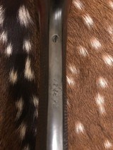 Parker Brothers VHE 12 gauge- 8 of 15