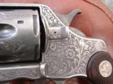 Colt Army/Navy/1895 revolver,hand engraved,refinished,38 caliber,6",double action,wood grips,made in 1903-a work of art !! - 2 of 12