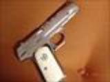 Colt 1908,380aut0,fully refinished in bright nickel in 2015,made in 1921,bonded ivory grips, hammerless,grip safety,as nice as they get ! a showpiece- 6 of 15