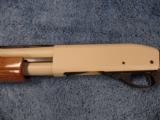 Remington 870 Express - 8 of 15