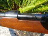 Mauser Standard Modell carbine sporter project - 4 of 8