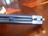Christophe 450 BPE double rifle - 17 of 17