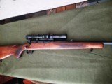 Pre-64 Winchester Model 70 in 257 Roberts - 10 of 11