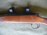 Used Remington 700 in 243 with scope rings - 10 of 16