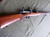 Winchester model 70 in 257 Roberts - 16 of 19