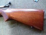 Winchester model 70 in 257 Roberts - 5 of 19
