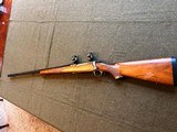 LH Ruger Model 77 Mark II in 300 Win mag - 10 of 10