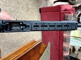 Custom Ruger 10-22 - 10 of 12