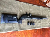 Custom Ruger 10-22 - 1 of 12