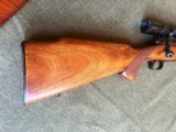 Pre-64 Winchester Mod 70 in 243 with Leupold 2.5-8X Vari-X III scope. - 11 of 13