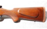 Whitworth Express Rifle .375 H&H - 9 of 9