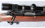 Winchester Model 70 Sporter Varmint .223 Rem. - 3 of 8
