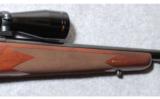 Winchester Model 70 Sporter Varmint .223 Rem. - 5 of 8