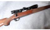 Winchester Model 70 Sporter Varmint .223 Rem. - 1 of 8