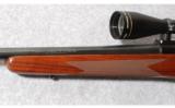 Winchester Model 70 .264 Win. Mag. - 7 of 9