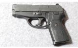 SIG-Sauer P239 .40 S&W - 2 of 2