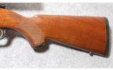 Ruger Model 77 Mark II .243 Win. - 7 of 7