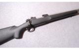 Winchester Model 70 Heavy Varmint .22-250 - 1 of 9