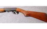 Remington Model
24
.22 LR - 7 of 8