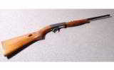 Remington Model
24
.22 LR - 1 of 8