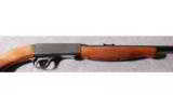 Remington Model
24
.22 LR - 3 of 8