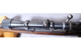 Winchester Model 70, .300 Win Mag - 6 of 9