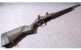 Steyr ~ SBS Mountian Rifle ~ .30-06 - 1 of 9