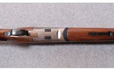 Pointer ~ Clays ~ 12 Gauge - 5 of 10