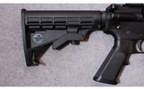 Bushmaster ~ XM15 E2S ~ 5.56 NATO - 2 of 10