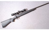 Remington ~ 700 ~ .30 '06 - 1 of 10