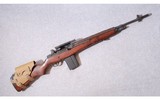 Springfield ~ M1A - 1 of 10