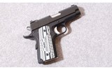 Dan Wesson ~ ECO ~ .45ACP - 1 of 2