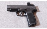 SIG-Sauer ~ P365XL - 2 of 3