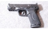 Smith & Wesson ~ M&P 2.0 ~ 10MM - 2 of 2