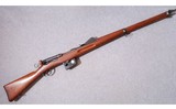 Schmidt-Rubin ~ M1889 ~ 7.5X55 - 1 of 13